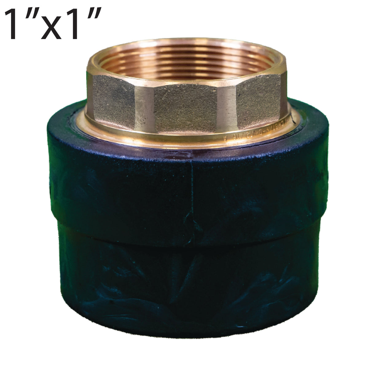 1" Socket x 1" FPT Brass Transition Fitting-4710